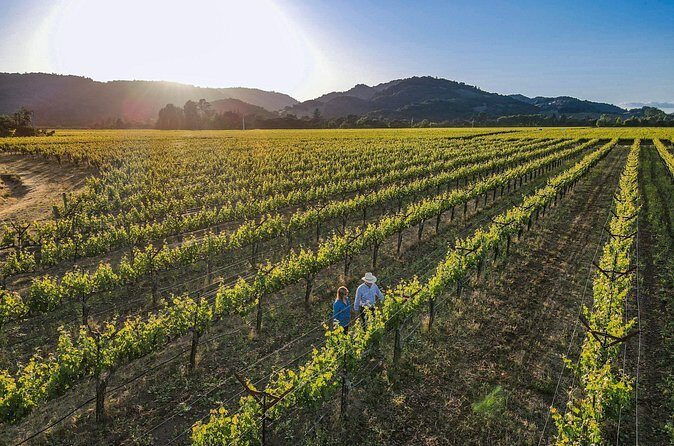 Serene and Romantic Wine Tasting Next to the Vines in Napa Valley - Group Size and Duration