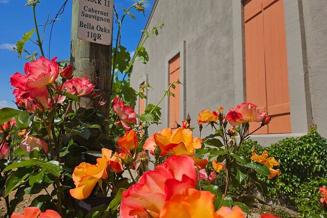Serene and Romantic Wine Tasting Next to the Vines in Napa Valley - Cost and Value