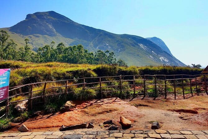 Serene Munnar Retreat: Private Tour from Kochi to the Munnar Hill - Key Points