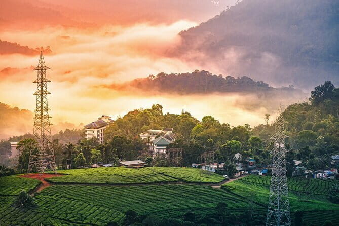 Serene Munnar Retreat: Private Tour from Kochi to the Munnar Hill - FAQ