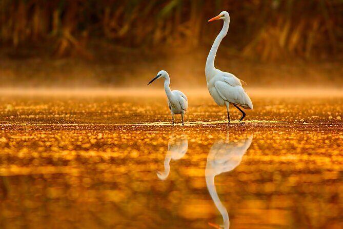 Serenity Cruise to Australia's Everglades - FAQs