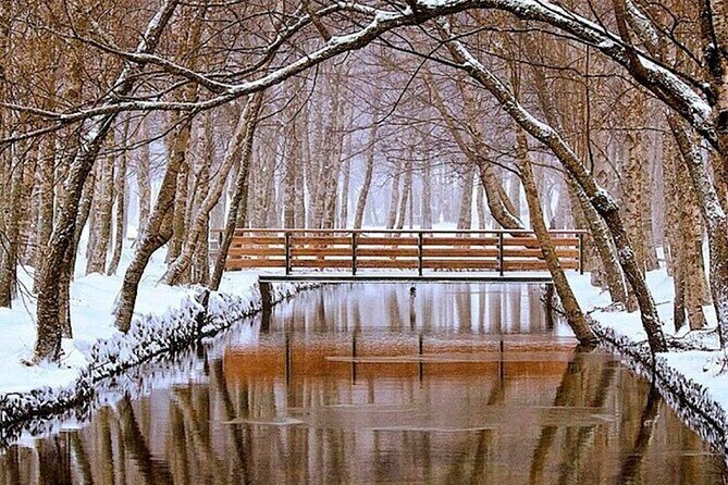 SERRA DA ESTRELA - Excursão com degustação de queijo da serra - FAQ