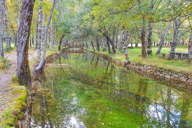 Serra da Estrela - Half-day off-road tour with cheese tasting - What Makes the Serra da Estrela Off-Road Tour Special?