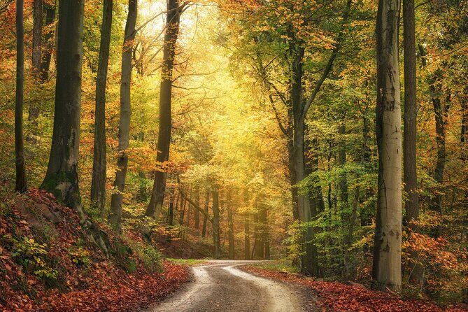 Serra da Estrela Nature and Adventure Private Tour - FAQ