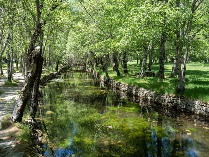 Serra da Estrela: Tour of Natural Highlights - Manteigas and the Forest