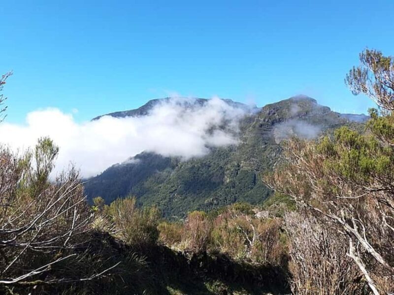Serra dÁgua: A Scenic Levada Walk - The Value of the Tour