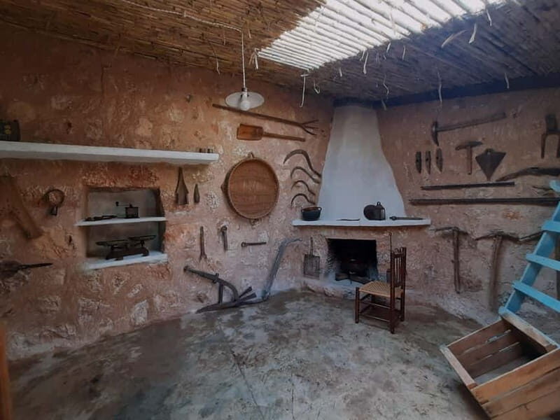 Serra de Tramuntana, Fornalutx: The olive tree: culture, cultivation, tasting. - Exploring the Olive Heritage of Serra de Tramuntana, Fornalutx