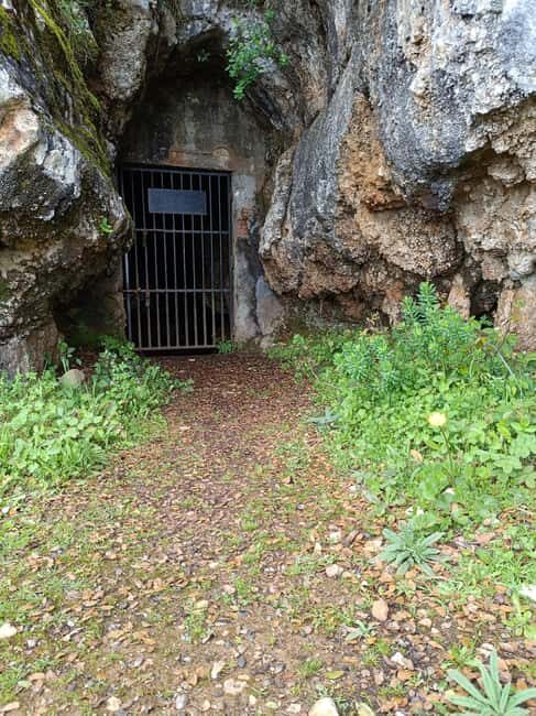 Serra dos Candeeiros by Van: Natural Park and Cave - Key Points