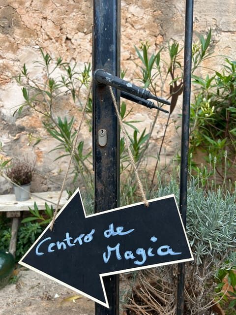 Ses Salines Vida Magica Visit Center of Magic & tea ceremony - The Sum Up