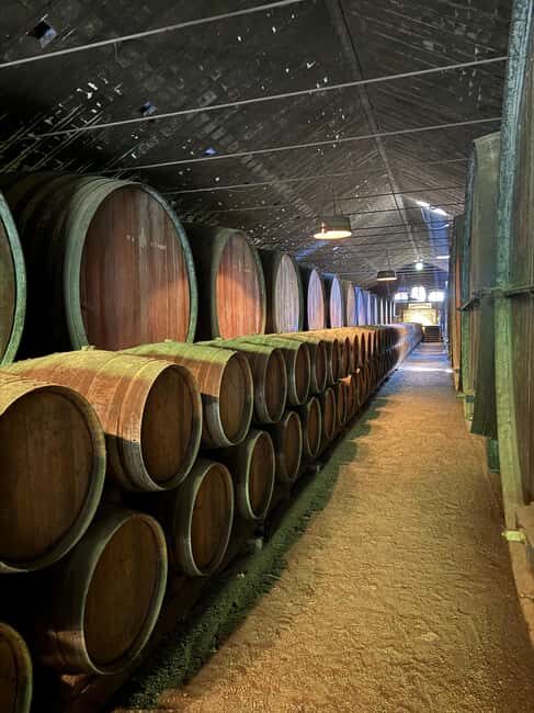 Sesimbra: Amazing Full-Day Tour with Boat Ride - Practical Considerations