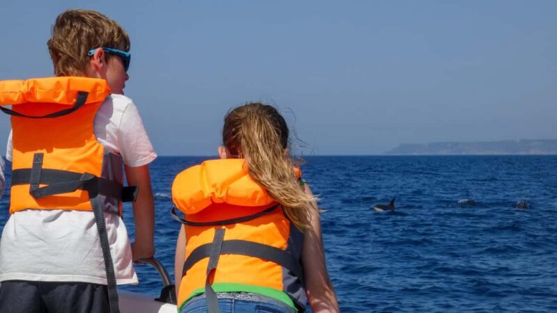 Sesimbra: Arrábida Dolphin and Whale Watching with Biologist - Frequently Asked Questions