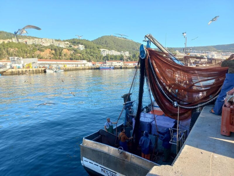 Sesimbra/Cabo Espichel/Aldeia do Meco Tour - Final Thoughts: Is It Worth It?