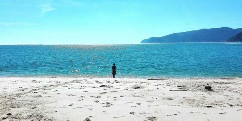 Sesimbra e Arrábida Natural Park: 1 Day Tour & Wine Tasting - Practical Details and What to Expect