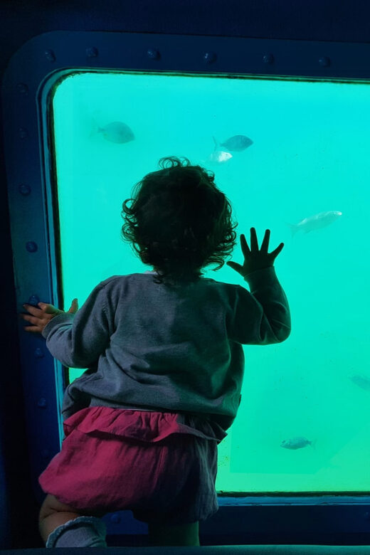 Sesimbra: Family Friendly Boat Sea Tour w/ Submarine Vision - Key Points