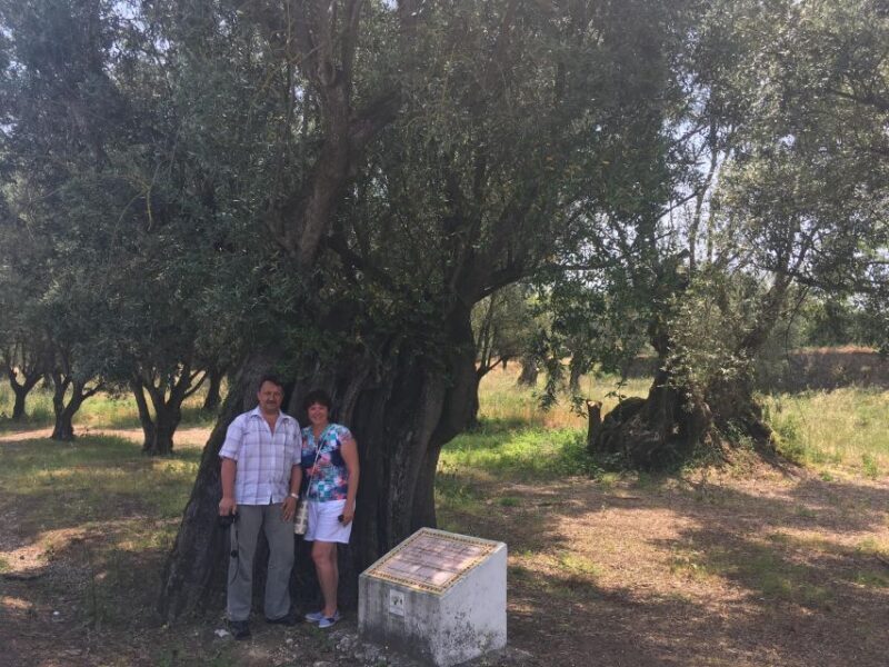 Sesimbra: Half-Day Tour to Arrabida with Wine Tasting - An In-Depth Look at the Sesimbra: Half-Day Tour to Arrabida with Wine Tasting