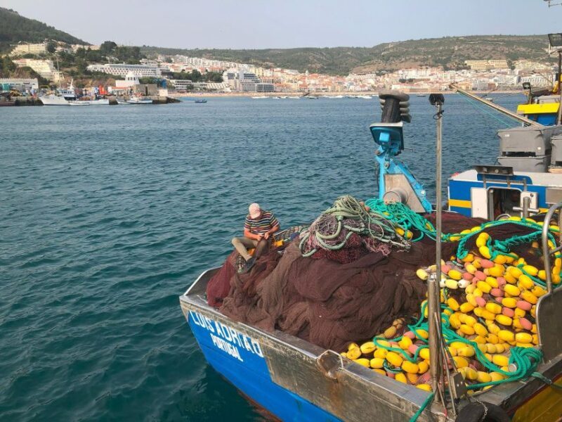 Sesimbra: Half-Day Tour to Arrabida with Wine Tasting - Ending on a High Note with Optional Hilltop Swing