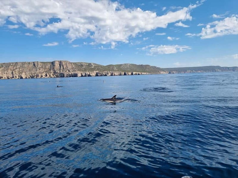 Sesimbra: Private Boat - Beach and Caves - An In-Depth Look at the Experience