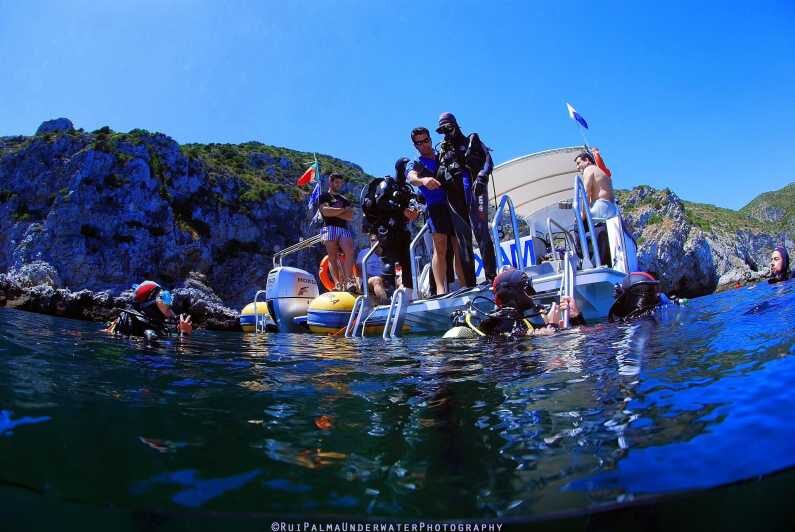 Sesimbra: Scuba Diving Experience for Beginners - Key Points