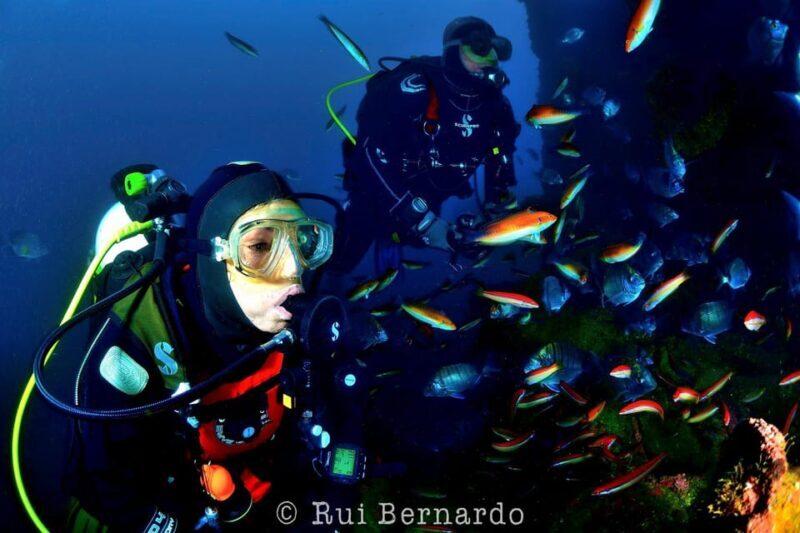 Sesimbra: Scuba Diving Experience for Beginners - Why We Love the Sesimbra Scuba Experience