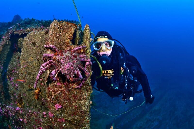 Sesimbra: Scuba Diving Experience for Beginners - Who Should Consider This Tour?