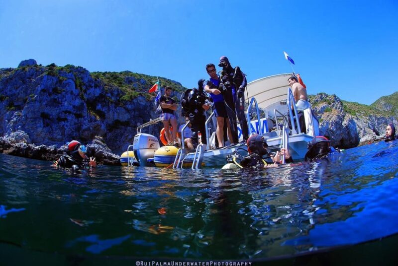 Sesimbra: Scuba Diving Experience for Beginners - Final Thoughts