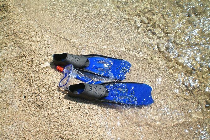 Sesimbra Wild Beach Tour from Lisbon - FAQ