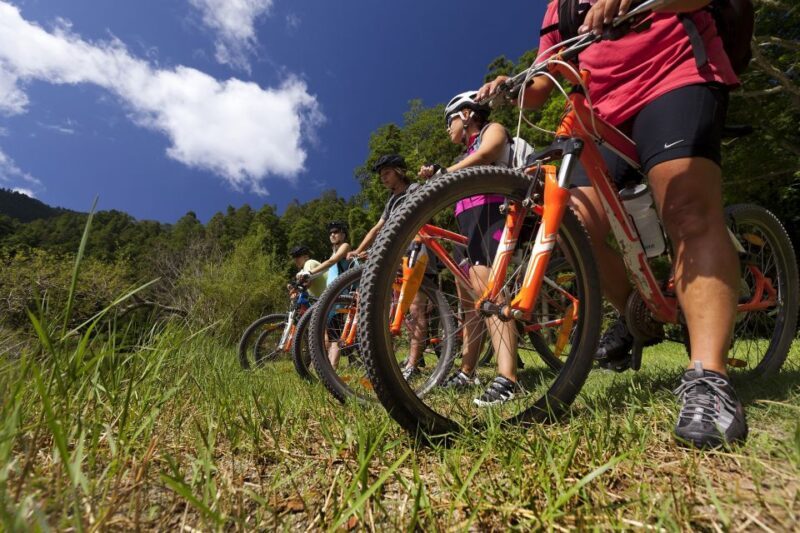 Sete Cidades Bike Rental - Key Points