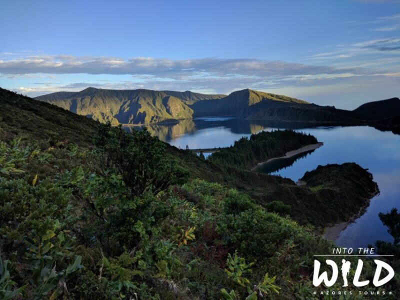 Sete Cidades & Lagoa do Fogo - Full-Day Tour - Authentic Experiences and Highlights from Reviews