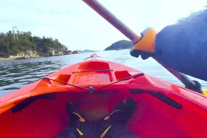 Setouchi Sea Kayak Private Adventure and Hidden Islands - FAQ