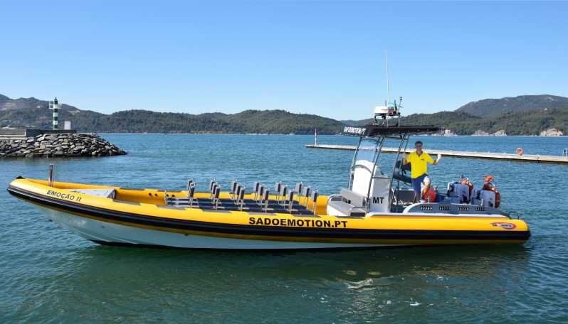 Setúbal and Tróia: Dolphin Watching and Arrábida Bays - Key Points