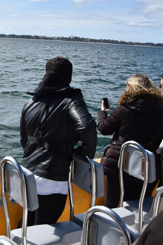 Setúbal and Tróia: Dolphin Watching and Arrábida Bays - A Deep Dive into the Experience