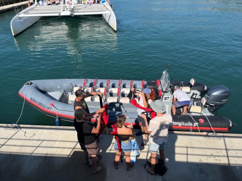 Setúbal: Dolphin-Watching Boat Tour - Key Points