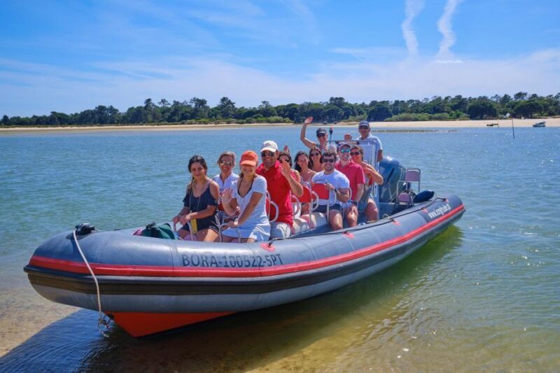 Setúbal: Dolphin-Watching Boat Tour - What Makes This Tour Special?