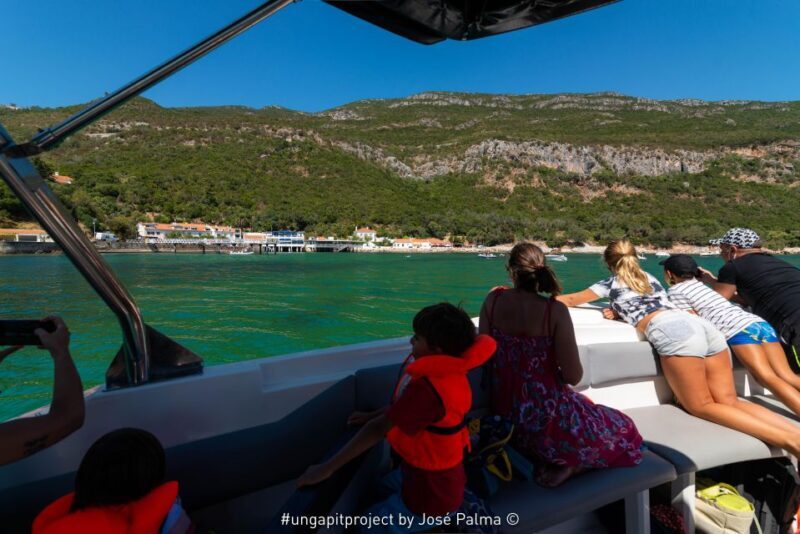 Setúbal: Dolphin Watching Boat Tour - Who Will Love This Tour?
