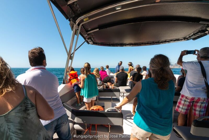 Setúbal: Dolphin Watching Boat Tour - FAQ: Your Questions Answered