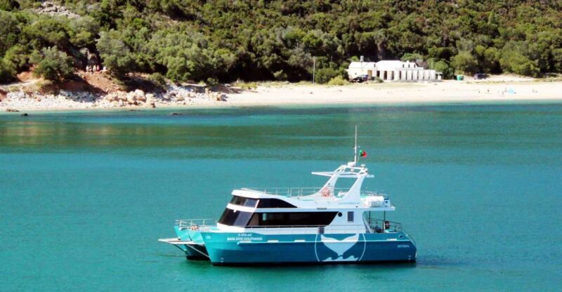 Setúbal: Dolphin Watching Tour - Setúbal: Dolphin Watching Tour – An Authentic Ocean Encounter