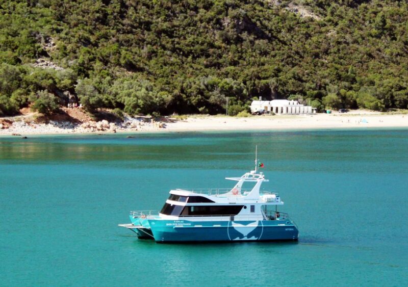 Setúbal: Dolphin Watching Tour - Value and Practicalities