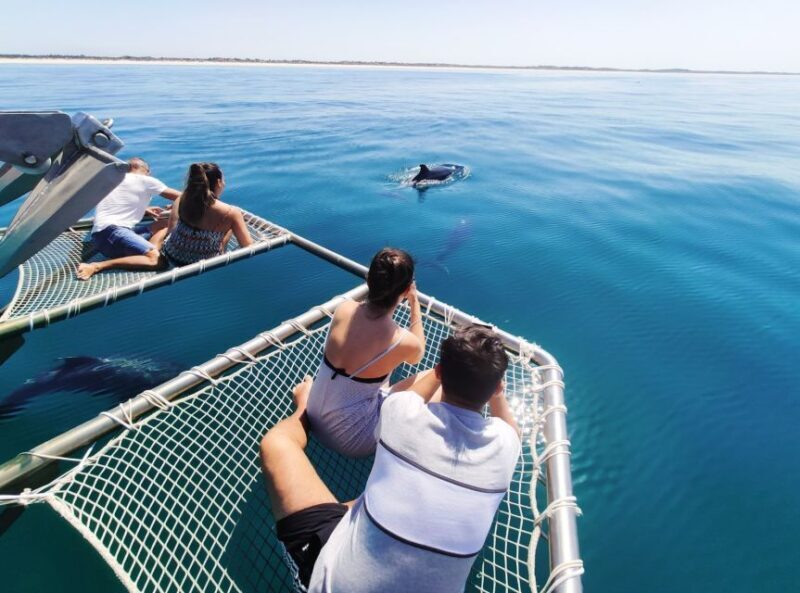 Setúbal: Dolphin Watching Tour - Who Will Love This Tour?