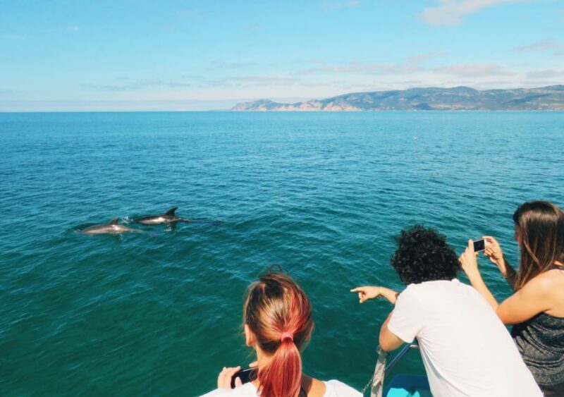 Setúbal: Dolphin Watching Tour - FAQs