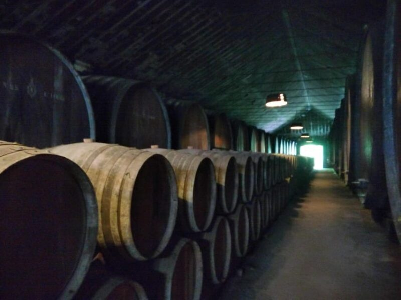 Setúbal: Market, Tiles and Wine (From Lisbon) - Key Points