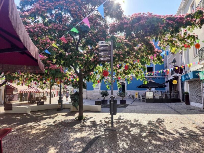 Setúbal Private Walking Tour: Off-the-Beaten-Path Charms - What Makes This Tour Stand Out