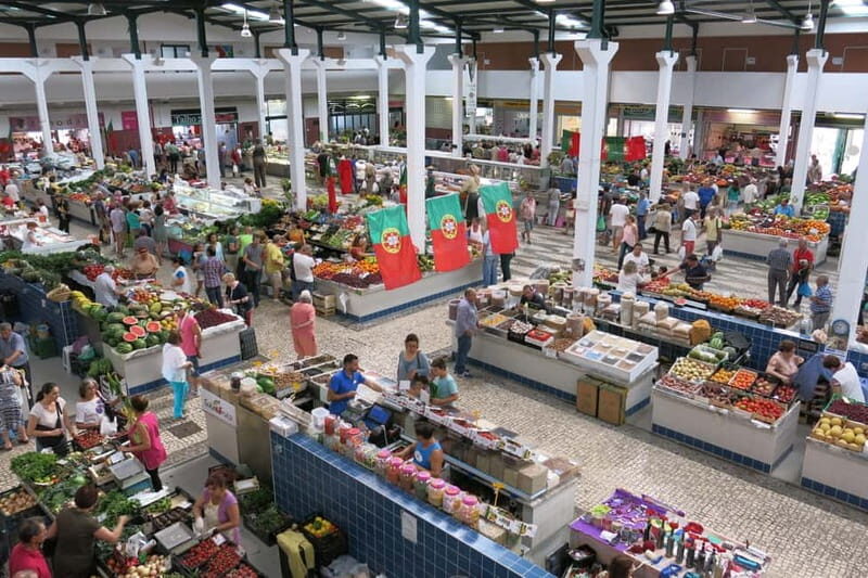 Setúbal: Private Walking Tour with Tastings - What to Expect: Experience and Value