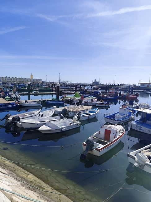 Setúbal: Private Walking Tour with Tastings - Practical Considerations