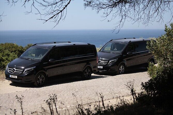 Setubal Private Wine Tour, Food Tasting, Beaches, Palaces and Art - Key Points