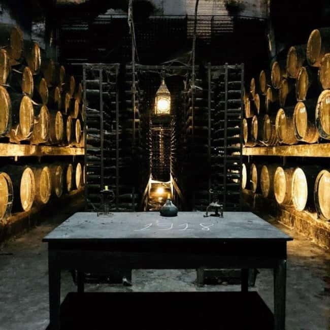 Setúbal Wine Tour: Discover the Moscatel Wine - An In-Depth Look at the Tour