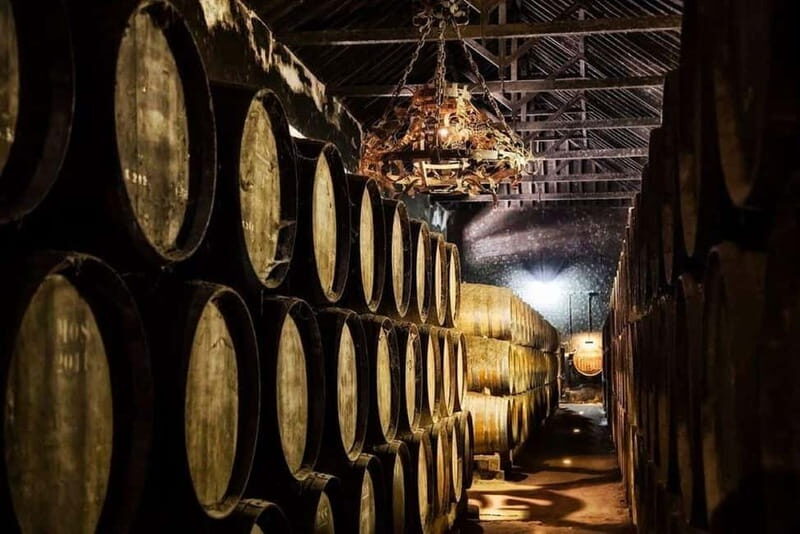 Setúbal Wine Tour: Discover the Moscatel Wine - Who Is This Tour Best For?