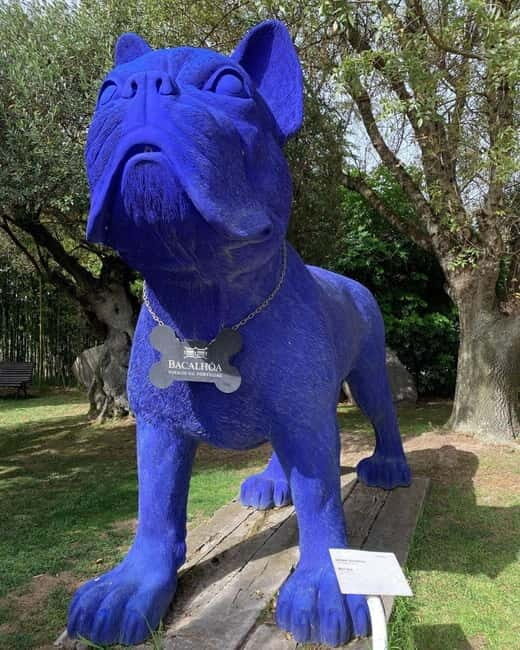 Setúbal Wine Tour: Discover the Moscatel Wine - Practical Details and Tips