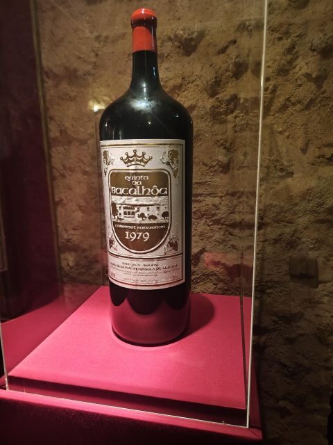 Setúbal Wine Tour: Discover the Moscatel Wine - Final Thoughts