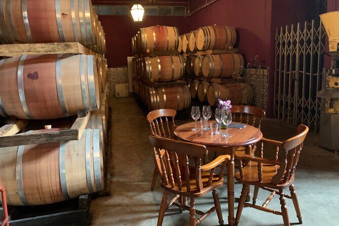 Setúbal Wine Tour with Visit and Tasting at 2 Wineries - Exploring the Setúbal Wine Tour: A Guide to Portugal’s Hidden Grape Treasures