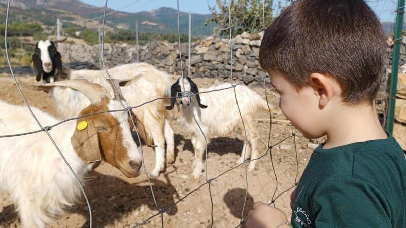 Seulo: Farm Tour with Local Product Tasting - Key Points